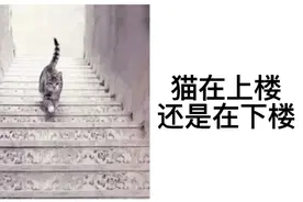 心理测试：你第一眼看见这只猫是在上楼还是在下楼？