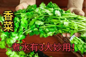 今天才知道，原来“香菜”还有厉害妙用？看视频涨知识了视频封面