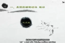 易筋经辅助功法一一伏虎桩