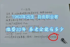 I963年出生，自由职业者，缴费20年，养老金能有多少，怎么计算视频封面