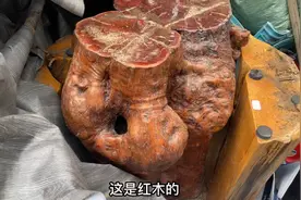 收废品的大叔收到红木家具，打开一看小伙傻眼了，上面全是白蚁！视频封面