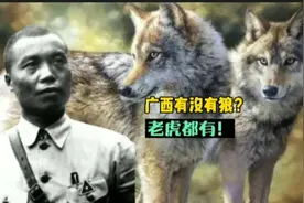 广西没有狼？老虎都有！视频封面
