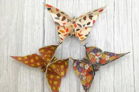 折纸蝴蝶：好看又立体的小蝴蝶，贴在墙上做装饰，美美哒！