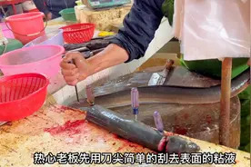 今天买条鳗鱼做火锅，带大家看看南方市场摊主，起肉去骨切片