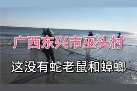 广西北部湾东兴市巫头村，没有蛇老鼠蟑螂，知道为什么吗？视频封面