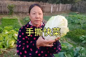想吃手撕快菜的，慧姐教你懒人做法，脆嫩鲜香，真好吃