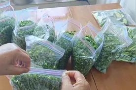 速冻韭菜和丝瓜，储存方法，分享给大家，感谢大家的观看与支持视频封面