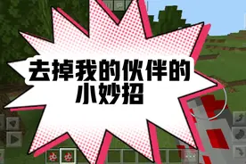 我的世界：去掉我的伙伴的小妙招