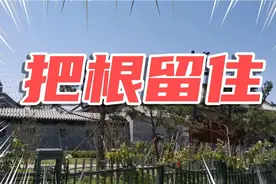 一首老歌《把根留住》，为了生活，人们四处奔波。