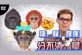 晕倒！穴居人，猿，大猩猩，黑猩猩分不清！为什么猿人最像人类呢