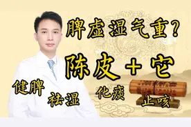 咳嗽痰多、脾虚湿气重？医生：陈皮加上它，健脾化痰祛湿