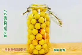 自制酸溜溜李子，比例配方最关键，个个酸甜爽脆，酸爽好吃视频封面