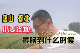 唐山、保定北部地区的小麦，要注意浇水时间。视频封面