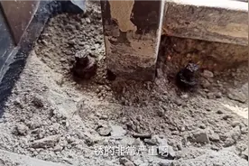 遇到完全锈死的螺母不用慌，用恰当的小工具就能轻松完整取下来视频封面