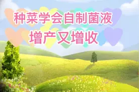 教你自制红糖酵母菌液，生根壮苗，增产增收，经济又实惠