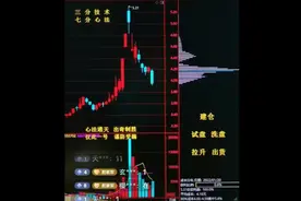 无延迟筹码峰如何设置