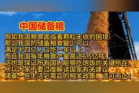 《我国的储备粮食最少可以满足14亿人吃一年以上》