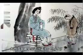 知性的含义视频封面