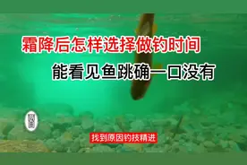 霜降后怎样做钓，看见鱼跳一口没有的原因