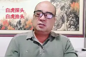 白虎探头 白虎抬头