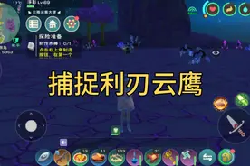 【创造与魔法】再次捕捉利刃云鹰，收集一下天空鳐位置！