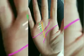 手相解析：这条太阳线会影响一个人得事业运和贵人