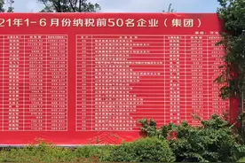 临沭县2021年上半年企业纳税榜，史丹利第二，第一名纳税近1.4亿视频封面