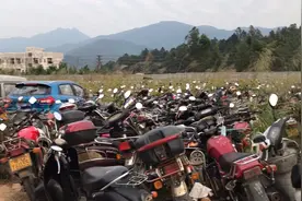 阳春市最大露天停车场，方圆两公里都是密密麻麻的车