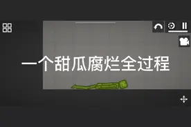 甜瓜腐烂全过程