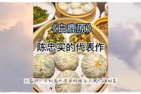 陈忠实的代表作，白鹿原第1章节。序视频封面
