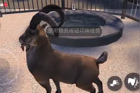 模拟山羊：收获日，20个奖杯的位置以及几个羊的解锁方法视频封面