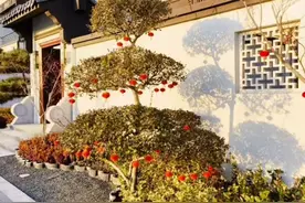 目前直销行业比较混乱！直销行业还有前途吗？视频封面