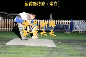 柴犬训练的第十六天（坐立）不容易啊。@随心缘宠训训练营