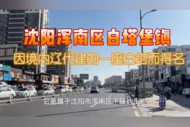 实拍沈阳浑南区白塔堡镇，这里天天像赶大集，东西便宜买啥都方便视频封面