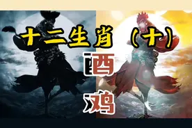 十二生肖（十）视频封面