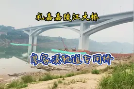 重庆轨道交通15号线二期工程开始动工，土木探访廖家溪轨道专用桥视频封面