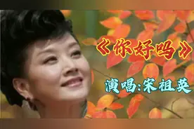宋祖英在2000年春晚上演唱了这首《你好吗》，愿平安和祝福伴随