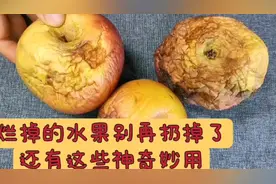 腐烂的苹果还有这些神奇妙用，尤其是能制作洗洁精，无毒、环保