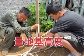 盖库房的前期准备工作，东北老爸量地基高度，还得继续拉沙土垫平视频封面