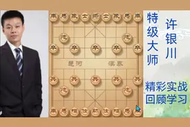 哇塞！江湖顺炮来了，许银川老师功力深厚，招法教学实在太漂亮了视频封面