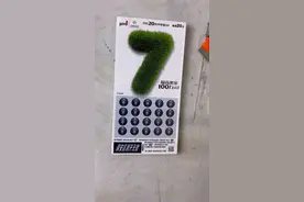 三个7的大七见过没