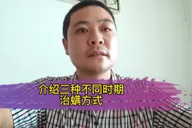 老一辈说养蜂螨治好了等于成功了一半，飞哥这里介绍三种治螨方案视频封面