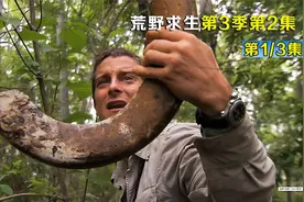体长2米的短吻鳄，贝爷3秒内活捉视频封面