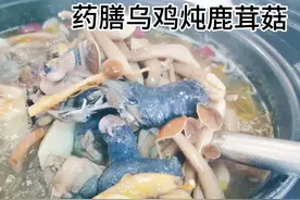 美食推荐  药膳乌鸡炖鹿茸菇    健脾胃，补血益气，收藏了