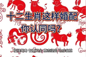 我不认同十二生肖婚配，我感觉都不像我，我觉得还是个人喜欢就好