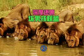 坏男孩联盟踏上“复仇之战”，结果却因干预遗憾落败，下场凄惨！视频封面