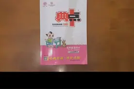#暑期快乐 《小学典中点》，难度中上等，适合基础扎实的学生使用视频封面