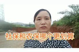 失地农民买养老保险，一次性花8万元买15年，大家看划算吗视频封面