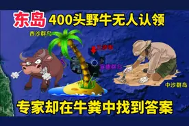 南海东岛意外发现400头野牛！不料牛粪彻底暴露来历，竟超过300年视频封面
