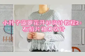 手工毛线编织，小叶子菠萝花开衫钩针教程2